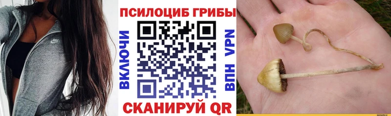 Псилоцибиновые грибы Cubensis kraken ССЫЛКА Сланцы