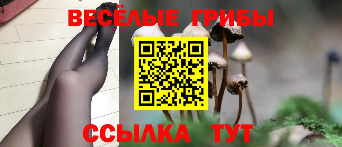 Меф МЯУ МЯУ кристаллы  НБОМе  Бошки Шишки  Сланцы  Вход с VPN  ГАШИШ  MDMA 