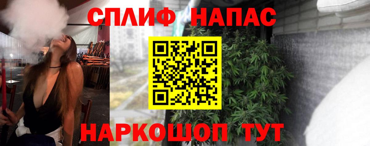 Канабис семена Сланцы